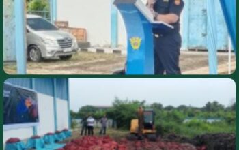 Bawang Merah Hasil Tangkapan di Musnahkan Bea Cukai Dumai Dengan Cara di Kubur